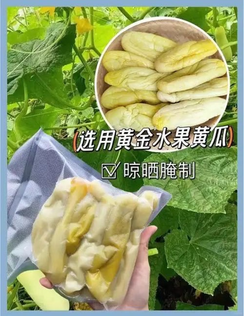 纯手工腌制新鲜黄瓜皮，味淡，脆口，无公害***