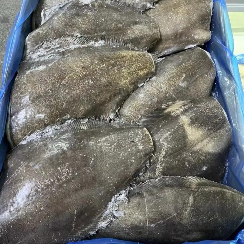 碟鱼身，碟鱼