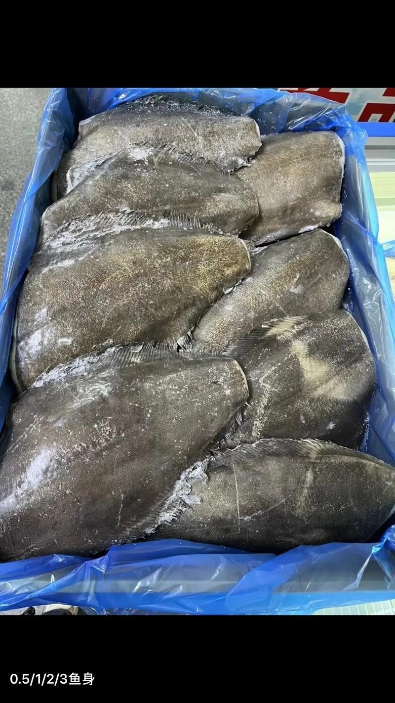 碟鱼身，碟鱼