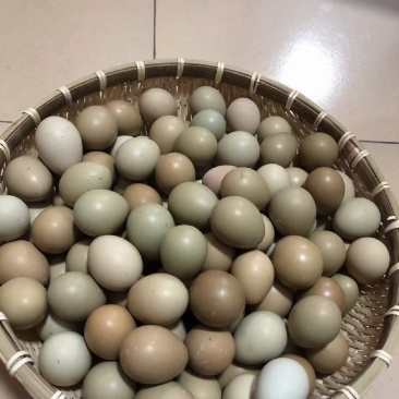 真正散养鸡蛋，破损包赔，营养丰富建康美味保证质量，包运费