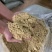 玉米混合发酵饲料，厂家直接