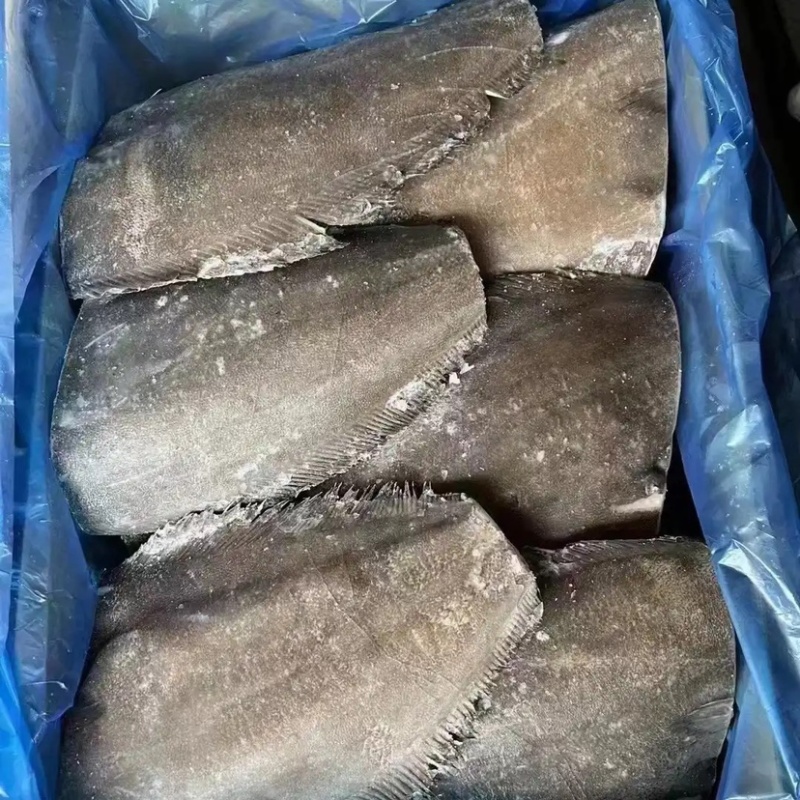 碟鱼，碟鱼身