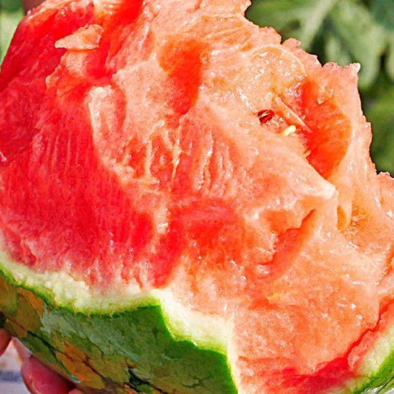 莘县薄皮西瓜手撕西瓜2k西瓜基地种植一手货源无中间商量大
