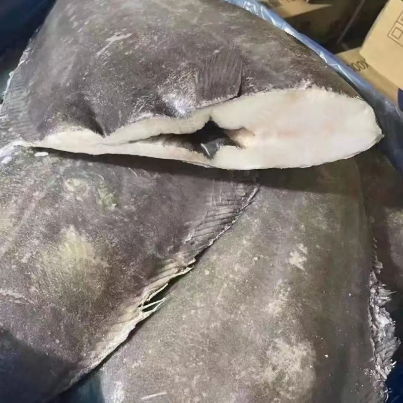 比目鱼