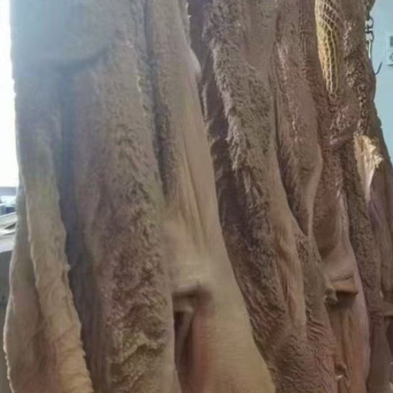 黄牛毛肚黄毛肚