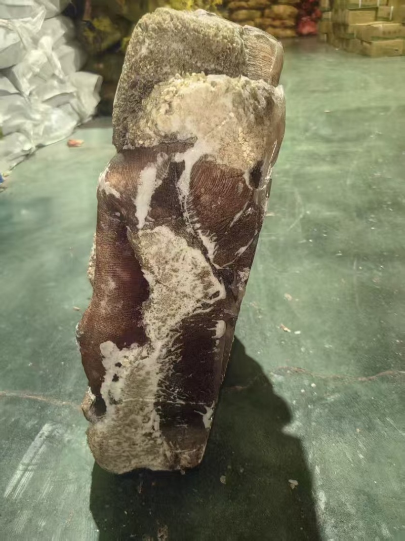 黄牛毛肚黄毛肚