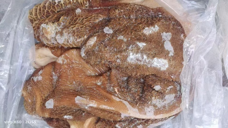 黄牛毛肚黄毛肚
