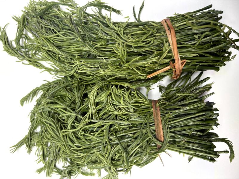 云南新鲜臭菜，山野菜