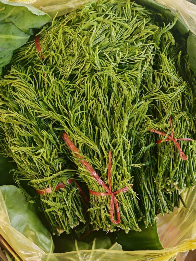 云南新鲜臭菜，山野菜