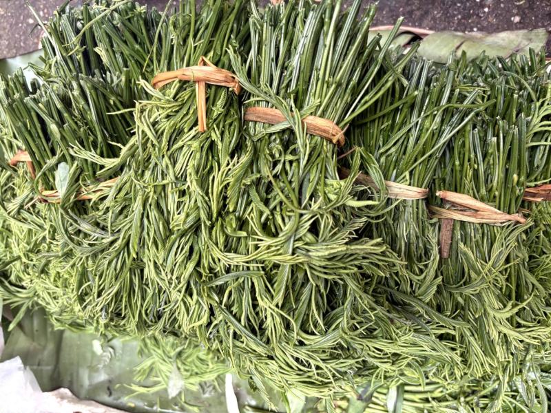 云南新鲜臭菜，山野菜
