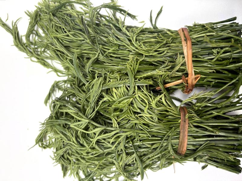 云南新鲜臭菜，山野菜
