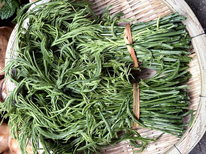 云南新鲜臭菜，山野菜