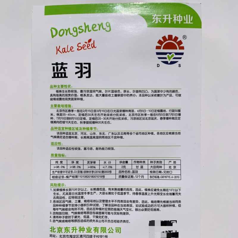 蓝羽叶用甘蓝种子甘兰种籽沙拉食用盆栽春夏秋种蔬菜四季蔬菜