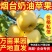 山东奶油富士苹果