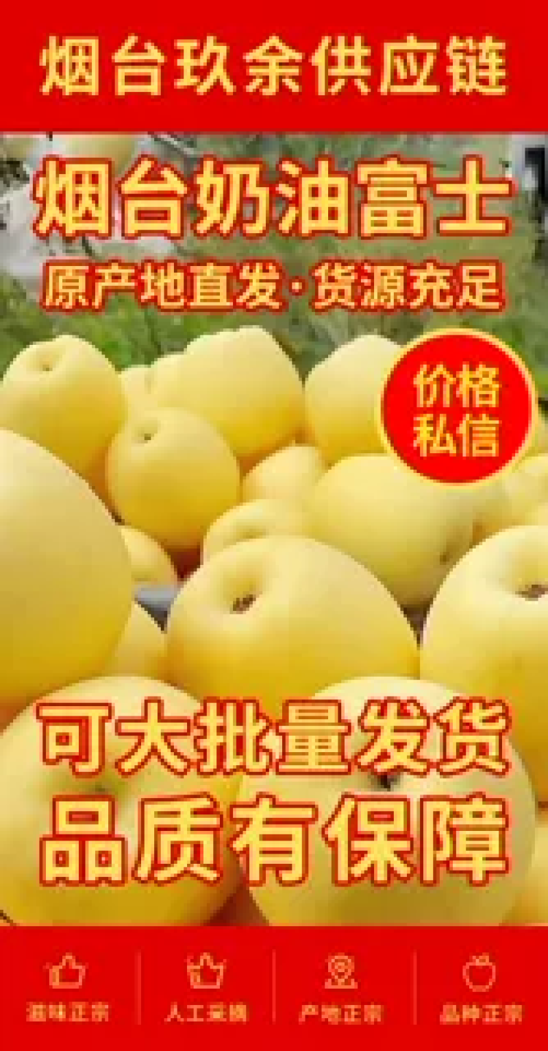 山东奶油富士苹果