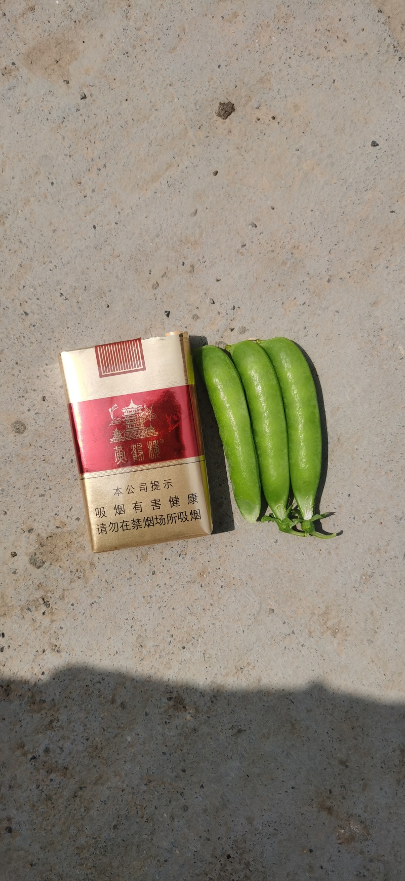 精品青豌豆，颗粒饱满，无烂角，产地直发，量大从优