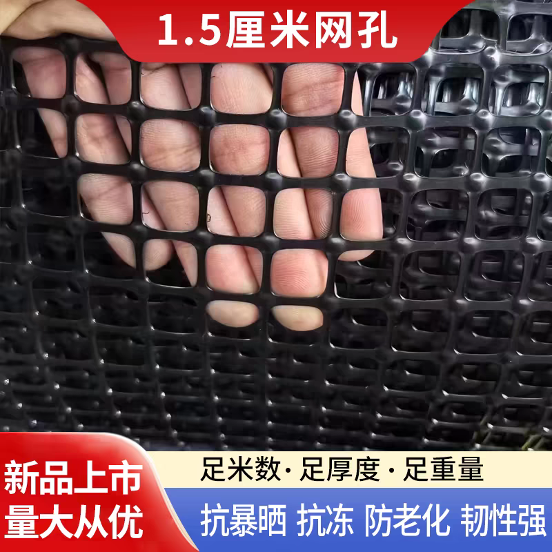 1.5厘米孔塑料网养鸡网菜地鱼塘小孔护栏隔离网
