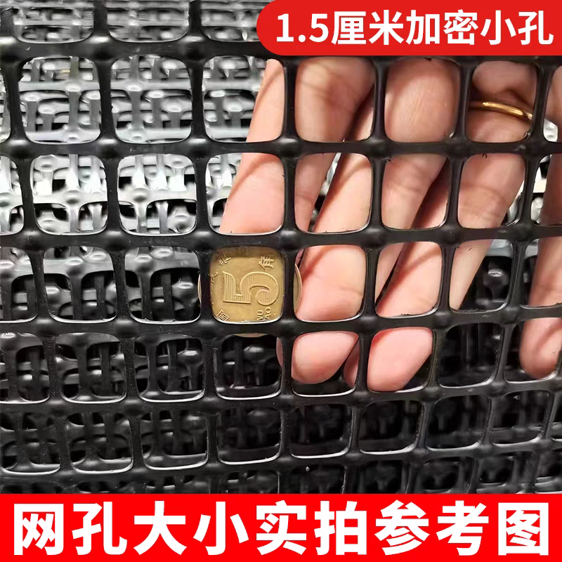 1.5厘米孔塑料网养鸡网菜地鱼塘小孔护栏隔离网