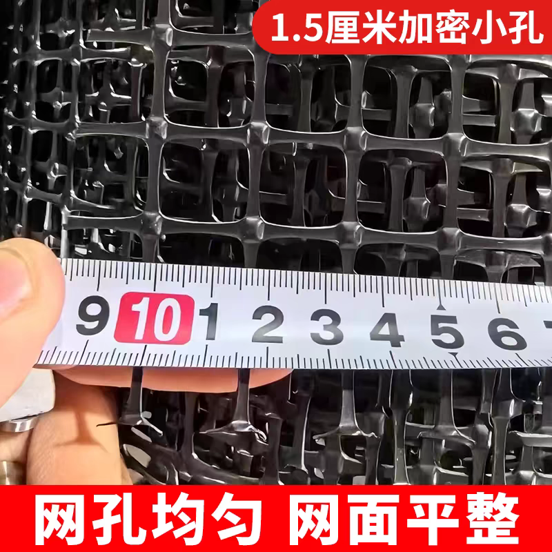 1.5厘米孔塑料网养鸡网菜地鱼塘小孔护栏隔离网