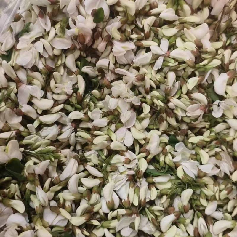 槐花