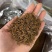 石阡苔茶产地直销保质保量价格优惠支持视频看货