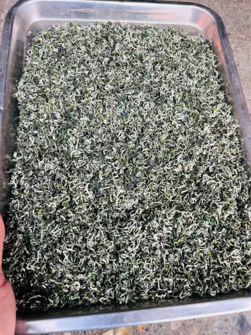 【绿茶】石阡苔茶产地直销保质保量价格优惠欢迎咨询
