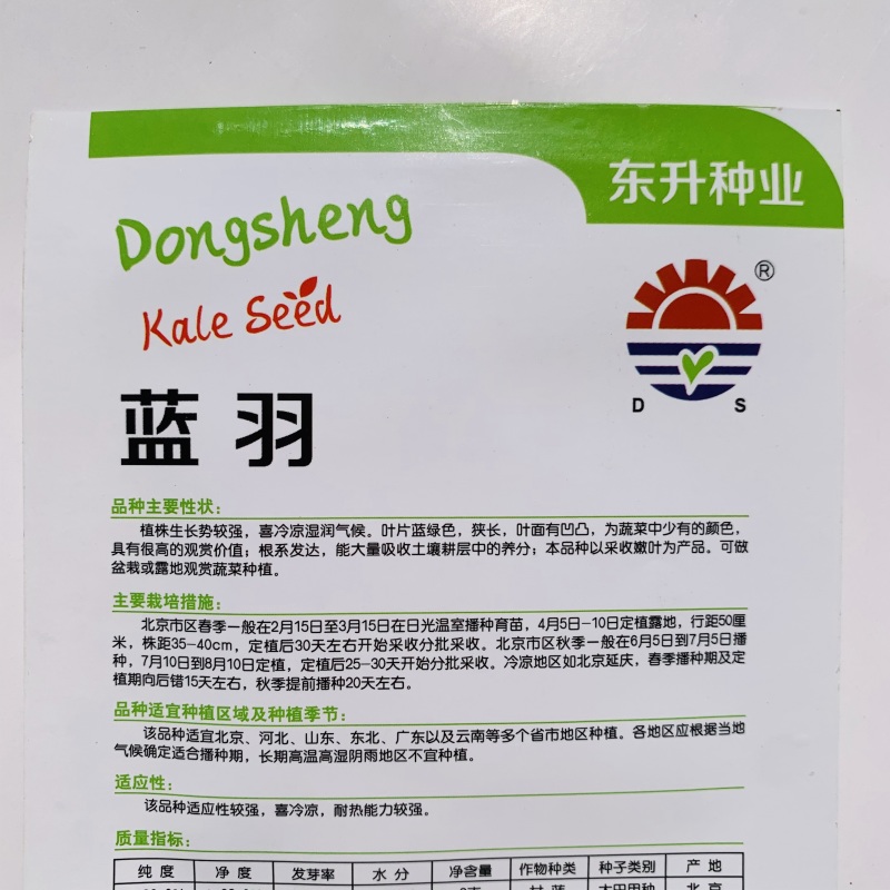 蓝羽羽衣甘蓝种子叶用蓝绿色皱叶甘蓝种籽可阳台盆栽食用观赏