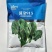 菠杂915菠菜种子春秋冬季菠菜种子耐寒直立大叶肉厚蔬菜