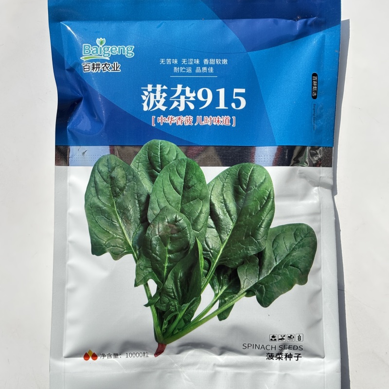 菠杂915菠菜种子春秋冬季菠菜种子耐寒直立大叶肉厚蔬菜