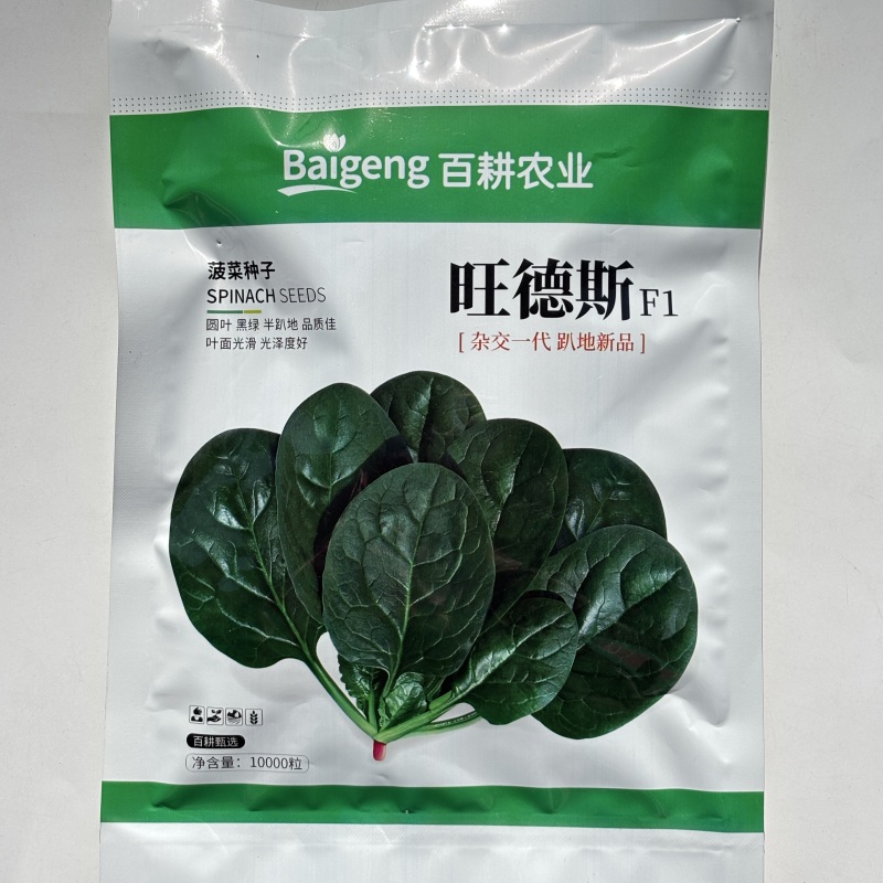 旺德斯菠菜种子杂交高产抗病早熟耐寒热圆叶深绿菠菜籽春秋