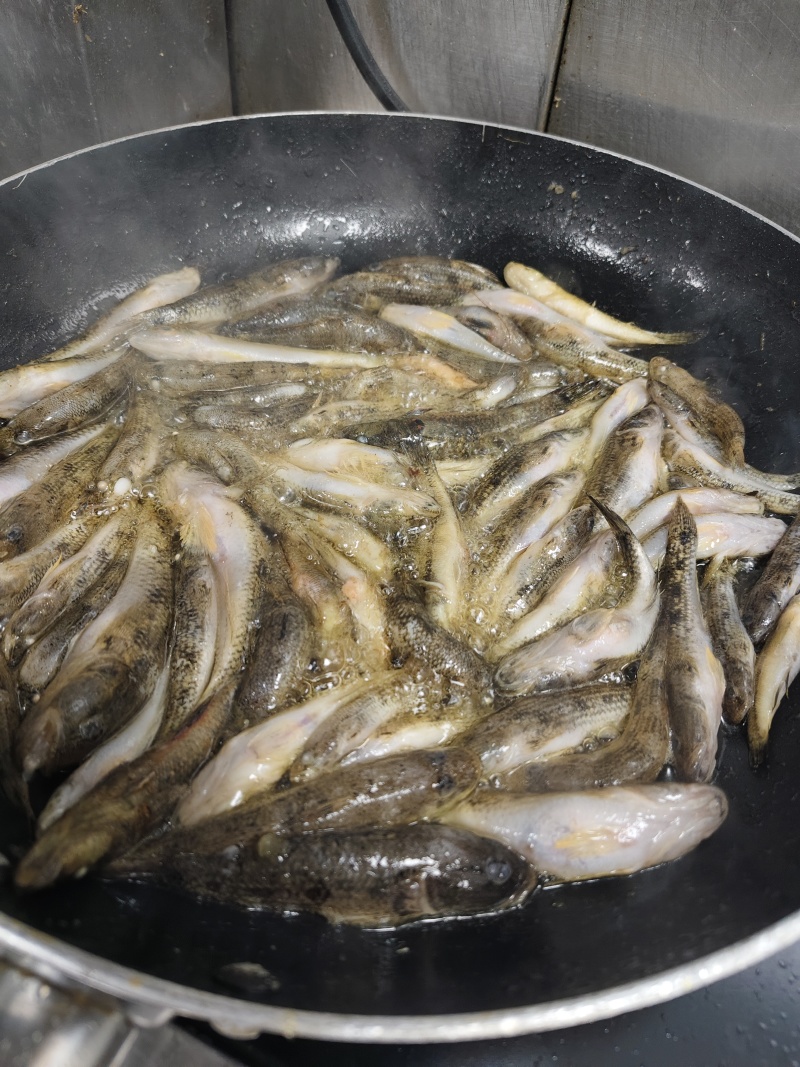 肉鱼，刺少肉多，适合油炸，香煎，干锅，椒盐做法，可配黄豆