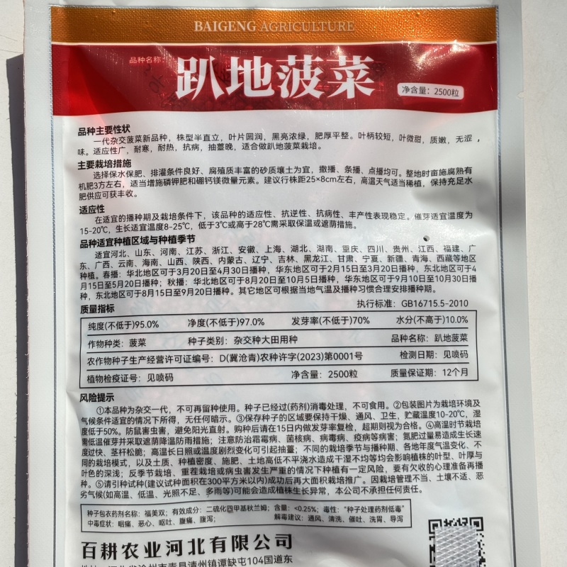 趴地菠菜种子黑亮半直立耐寒耐热抗病抽薹晚一代杂交菠菜