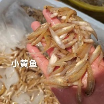 可做小鱼干的小黄鱼干香有嚼劲一年四季发货品质保证