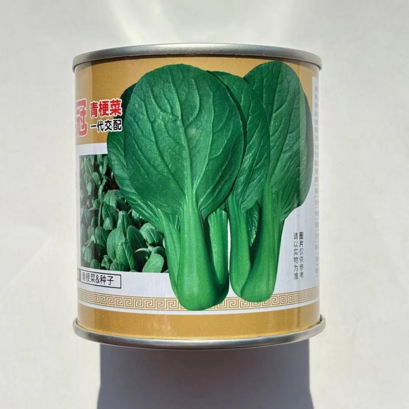 新美冠青梗菜种子夏季耐热耐湿耐雨水青梗菜油菜四季阳台蔬菜