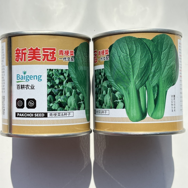 新美冠青梗菜种子夏季耐热耐湿耐雨水青梗菜油菜四季阳台蔬菜