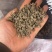 新货野生猫爪草干货无硫