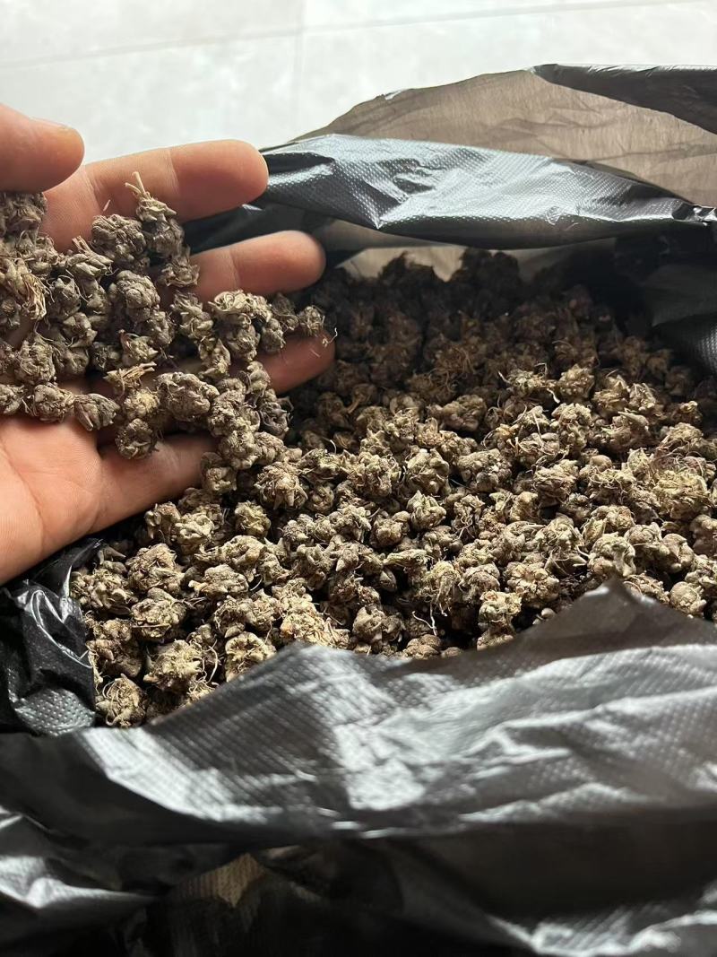 新货野生猫爪草干货无硫