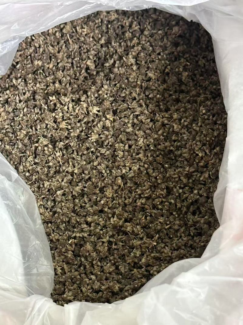 新货野生猫爪草干货无硫