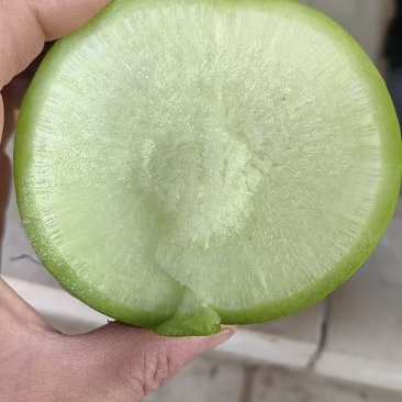 青萝卜