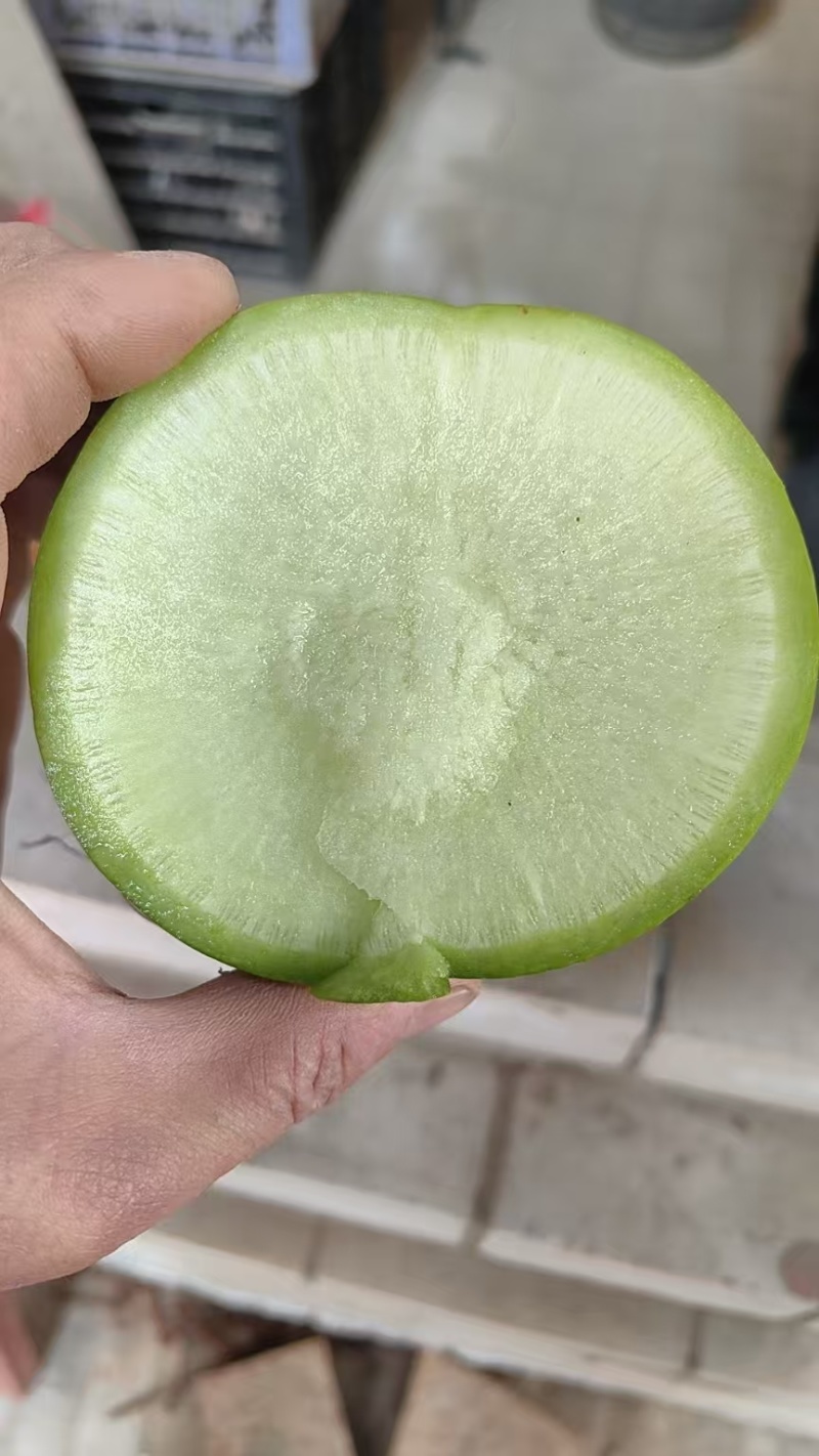 青萝卜