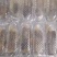 蒜蓉粉丝蛏子500g