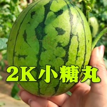 潍坊小糖丸西瓜2K西瓜小吊瓜手剥皮西瓜冰淇西瓜
