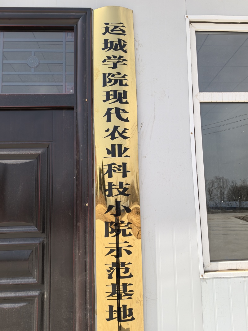 新鲜豌豆苗