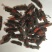 斑毛虫蝥虫野生干货整虫中药材精选10只大个头包邮