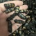 斑毛虫蝥虫野生干货整虫中药材精选10只大个头包邮