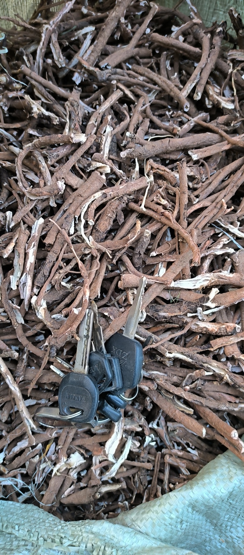 野生牡丹皮五年以上牡丹皮红丹皮