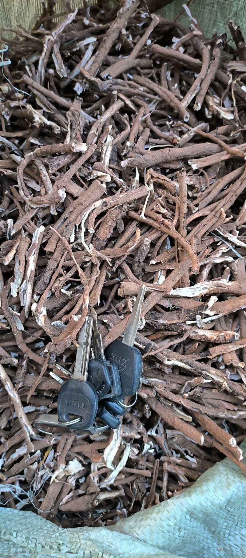 野生牡丹皮五年以上牡丹皮红丹皮