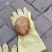 鸡宝