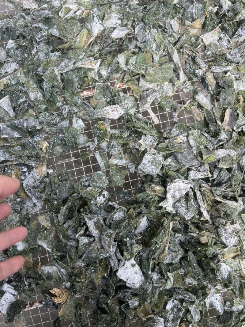 盐渍日晒半干海带条