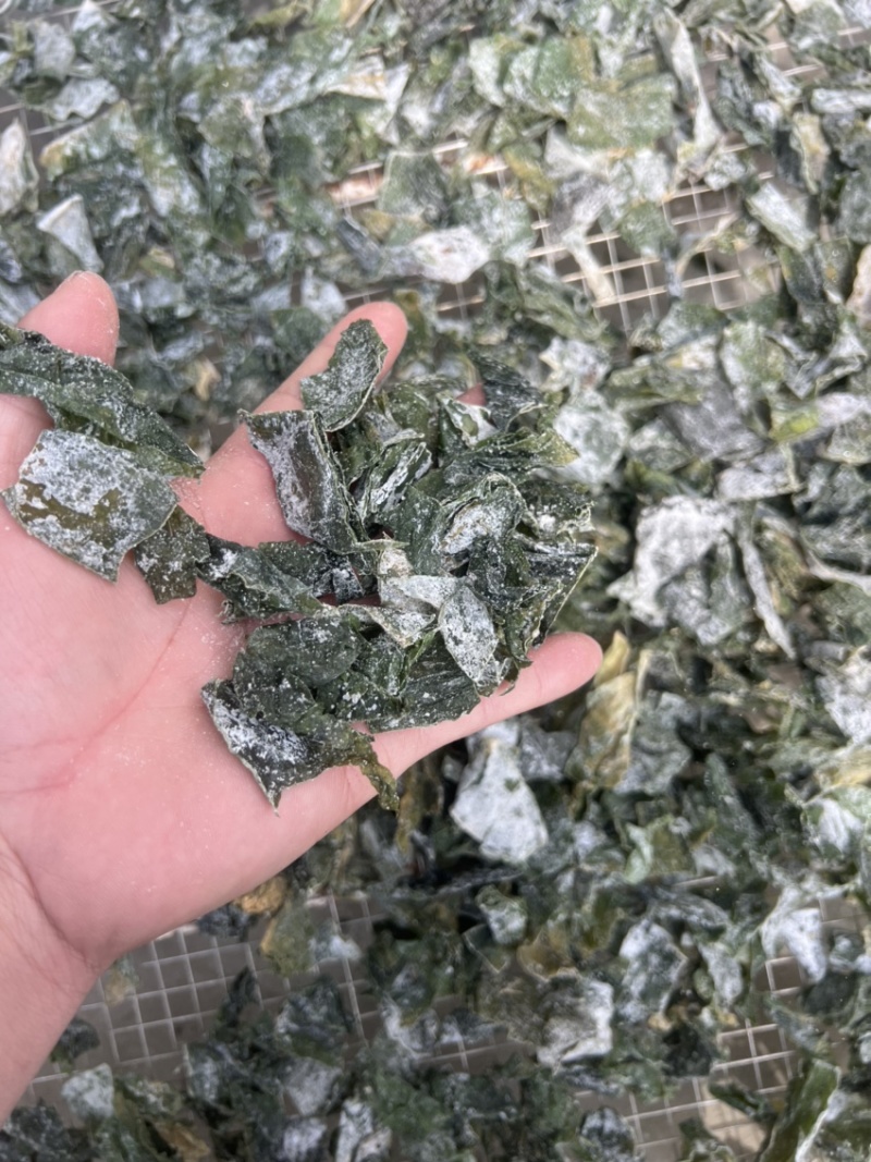 盐渍日晒半干海带条